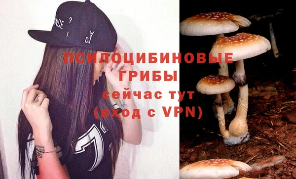 прущие крисы Алексеевка
