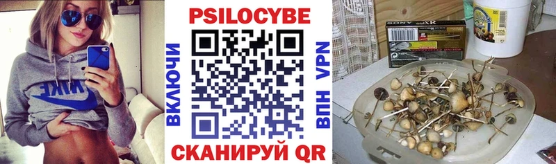 Псилоцибиновые грибы Psilocybe  Звенигород 